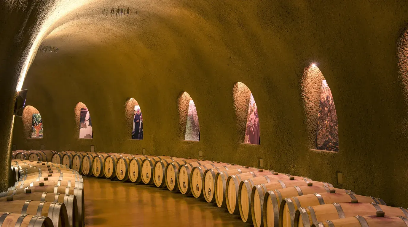 Oak barrels resting along a curved, vaulted wine cave at the Jarvis Winery.