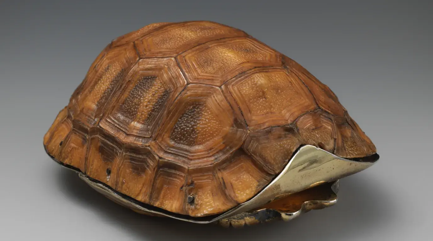 An 18th-century box made from a tortoise's shell, fitted with a metal rim.